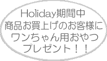 ���������p����v���[���g�I
