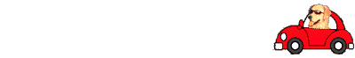 ҂Ă郏I